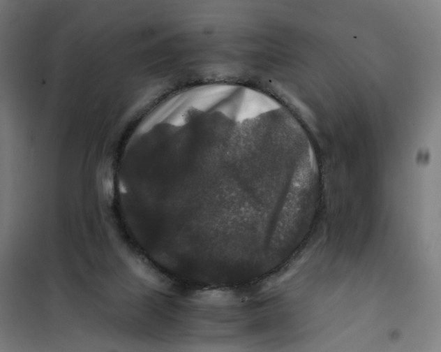 X0000101710067200808071233