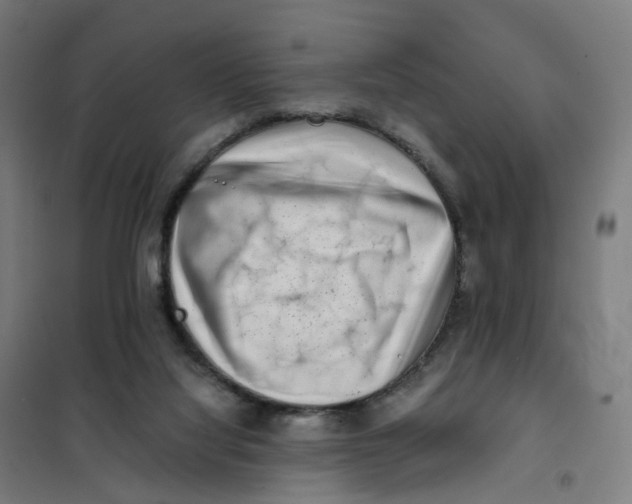 X0000101710068200808071233