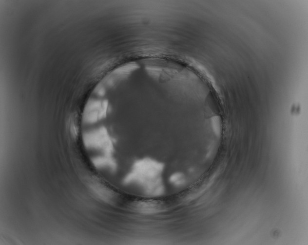 X0000101710069200808071233