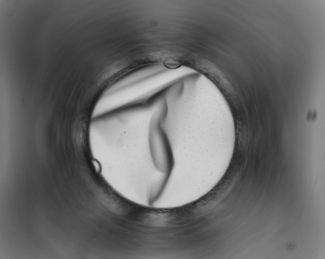 X0000101710071200808071233