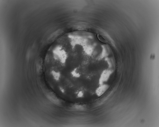 X0000101710073200808071233