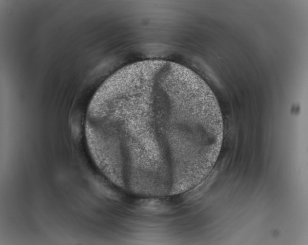 X0000101710074200808071233