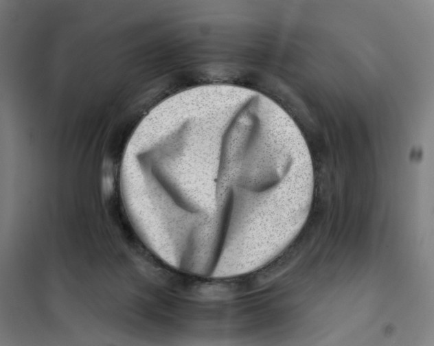 X0000101710075200808071233