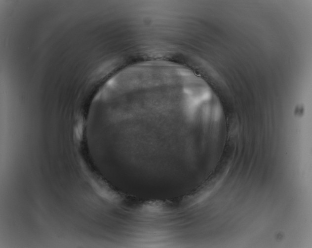 X0000101710076200808071233