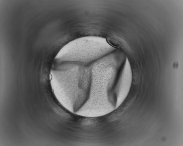 X0000101710077200808071233