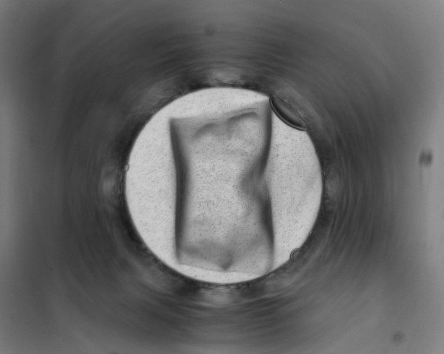 X0000101710079200808071233