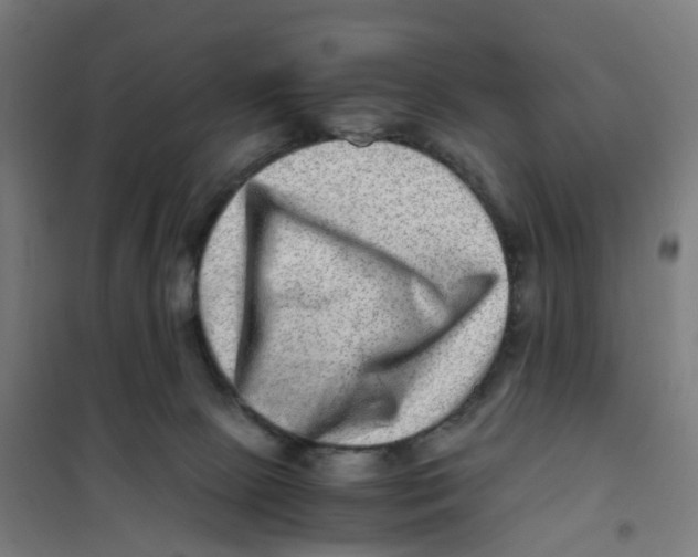 X0000101710081200808071233