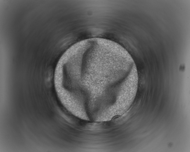 X0000101710082200808071233