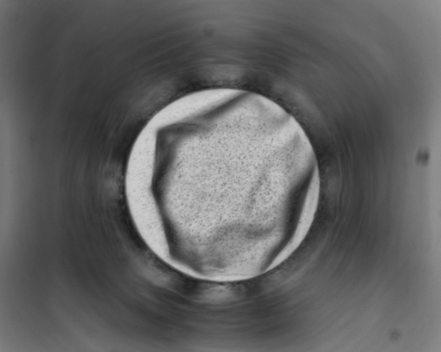 X0000101710083200808071233