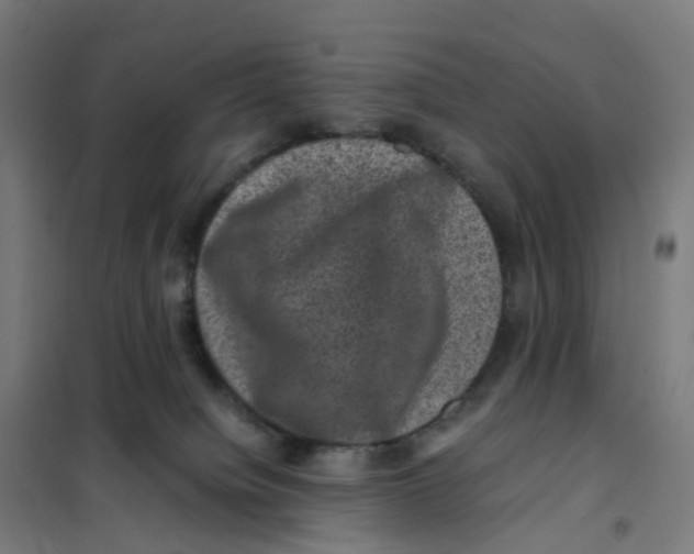 X0000101710084200808071233
