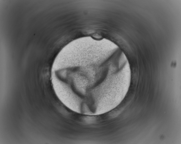 X0000101710085200808071233