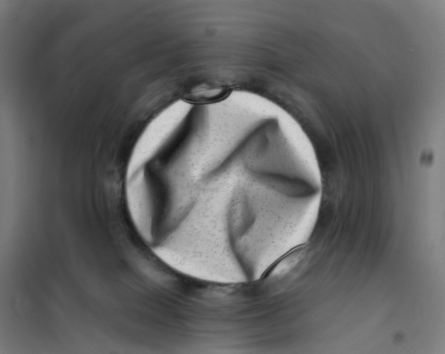 X0000101710086200808071233