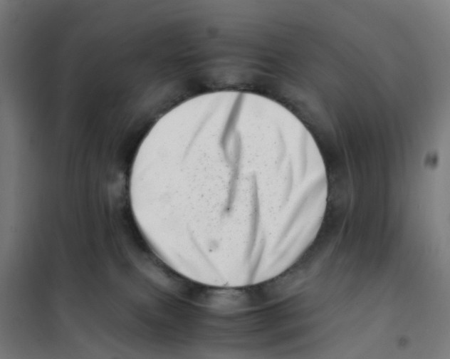 X0000101710087200808071233