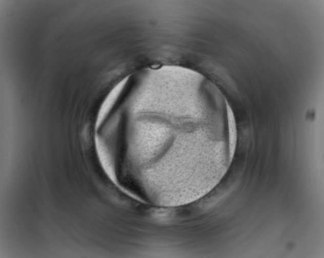 X0000101710088200808071233
