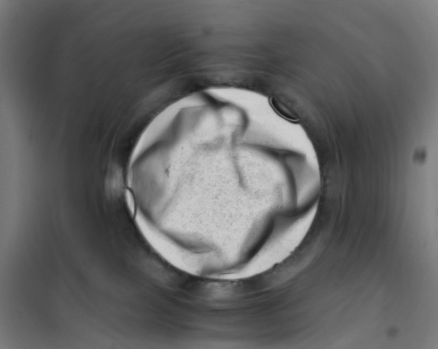 X0000101710089200808071233