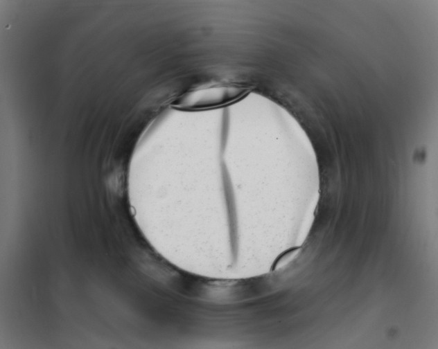 X0000101710090200808071233