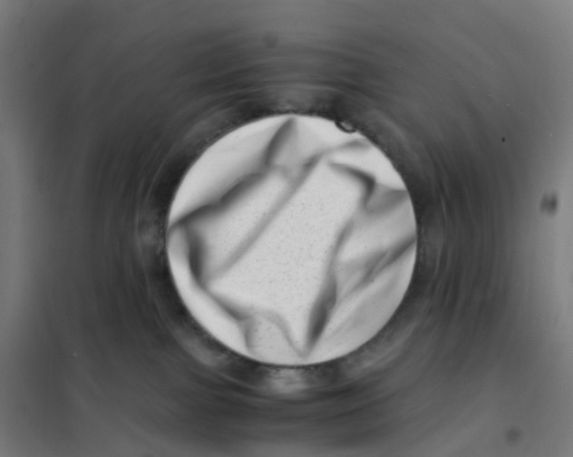X0000101710091200808071233