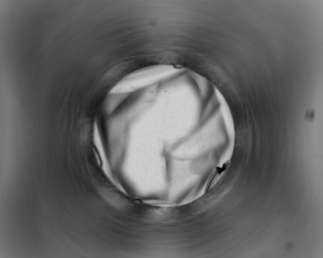 X0000101710092200808071233