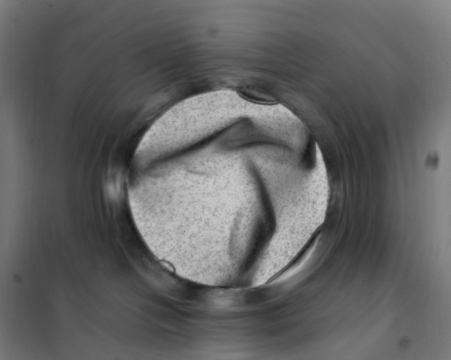 X0000101710094200808071233