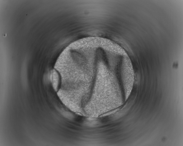 X0000101710095200808071233