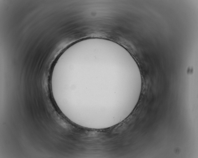 X0000101710098200808071233