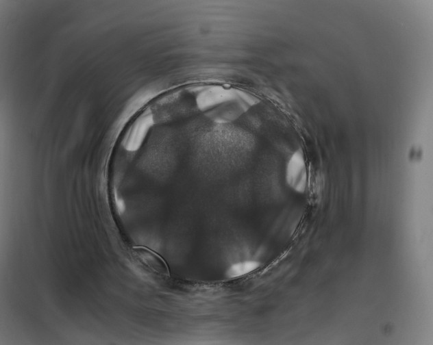 X0000101710099200808071232