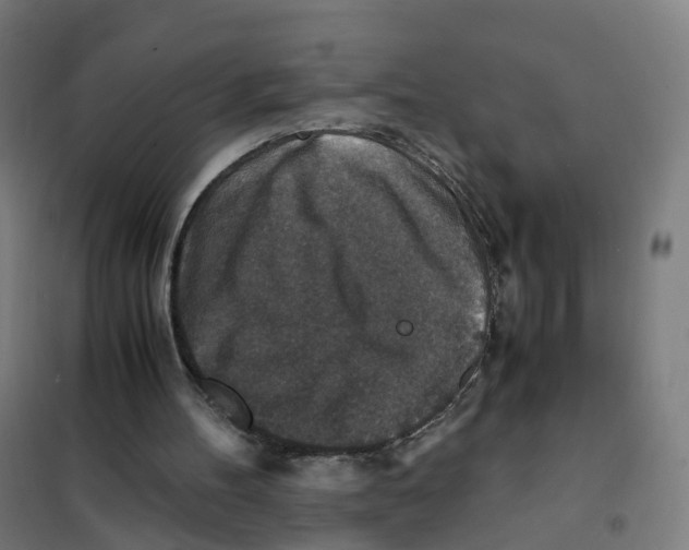 X0000101710100200808071232