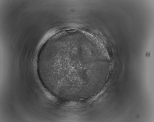 X0000101710101200808071232