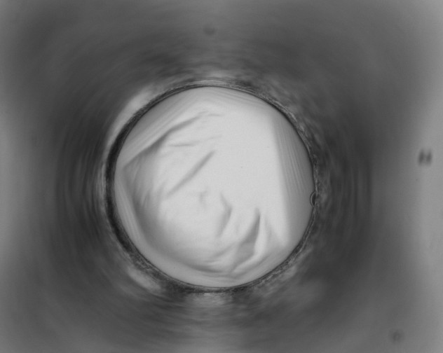 X0000101710102200808071232