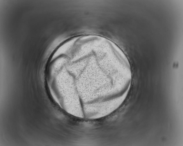 X0000101710103200808071232