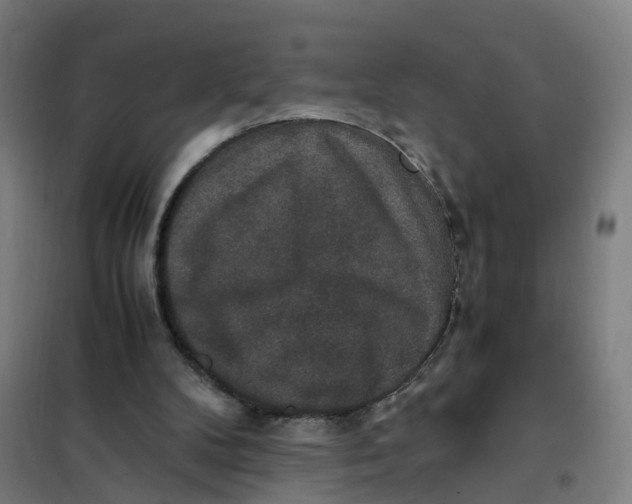 X0000101710104200808071232
