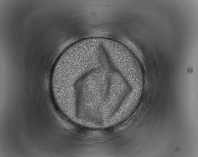X0000101710107200808071232