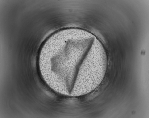 X0000101710108200808071232