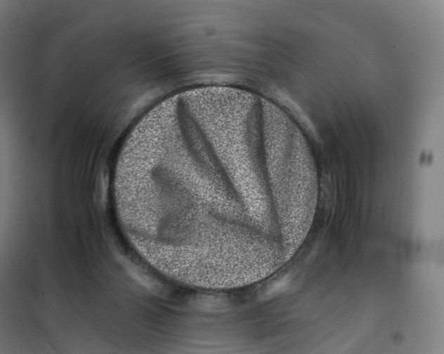 X0000101710110200808071232