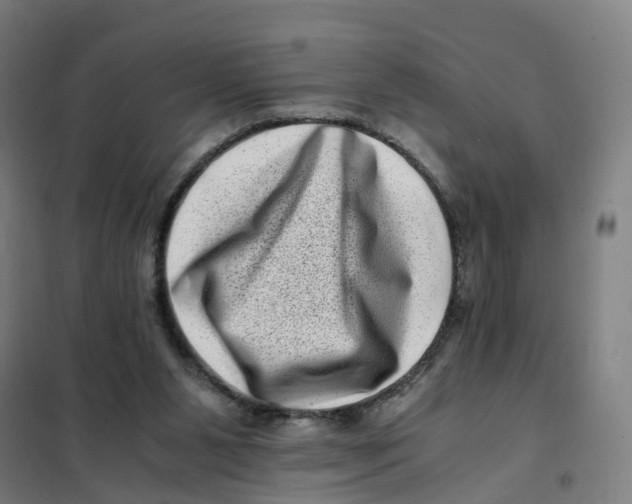 X0000101710111200808071232