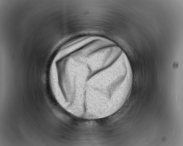 X0000101710112200808071232