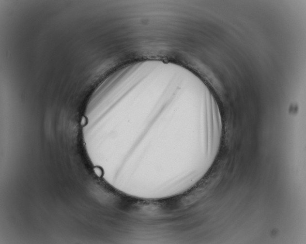 X0000101710113200808071232
