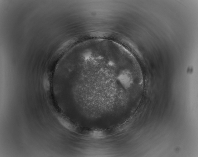 X0000101710114200808071232