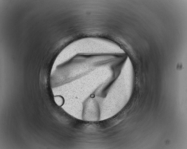 X0000101710115200808071232