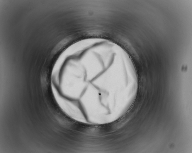 X0000101710116200808071232
