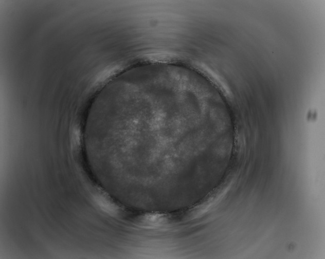 X0000101710117200808071232