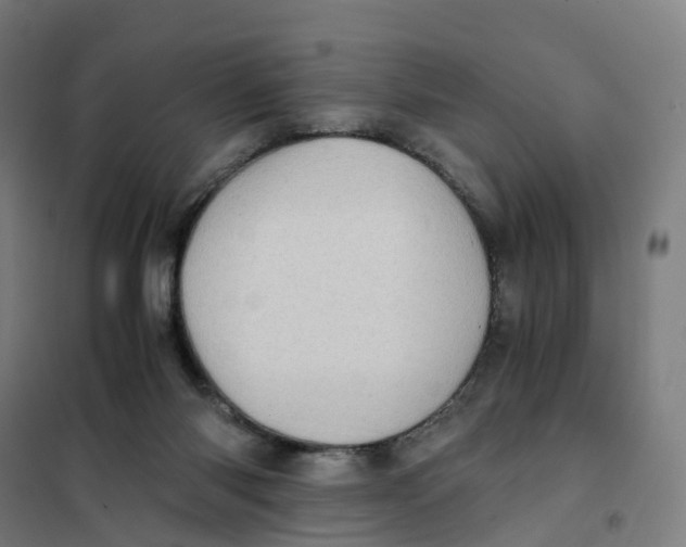 X0000101710118200808071232