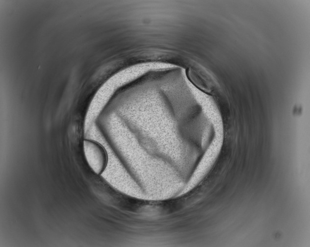 X0000101710119200808071232