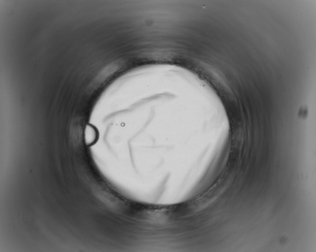 X0000101710120200808071232