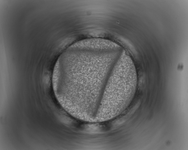 X0000101710121200808071232