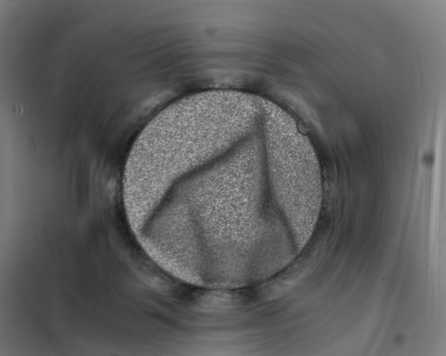 X0000101710123200808071232