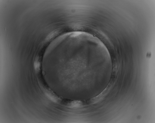 X0000101710124200808071232