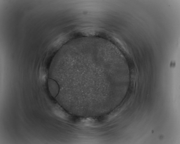 X0000101710125200808071232