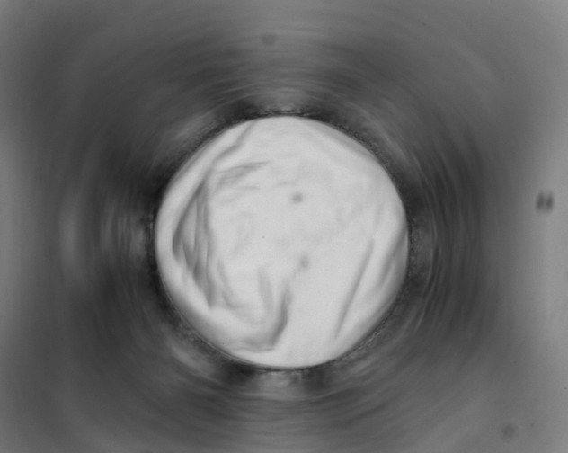X0000101710126200808071232