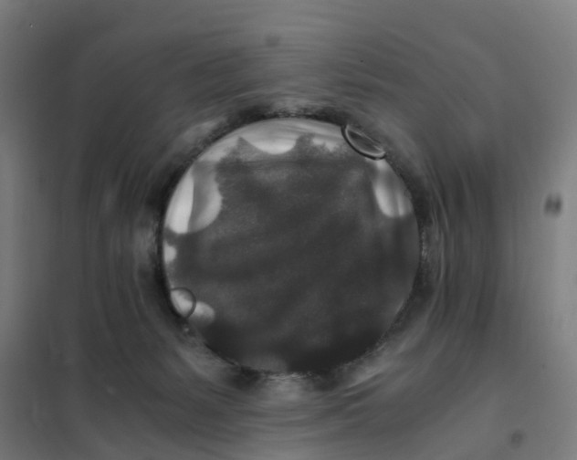 X0000101710127200808071232